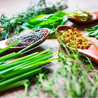 8種のハーブエキス