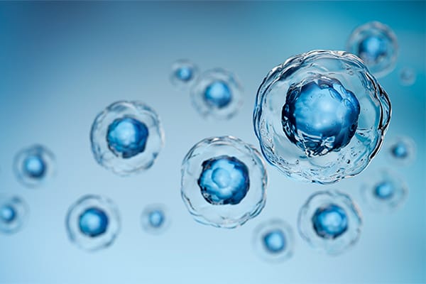 再生美容で注目されるまつ毛ケアの先進成分を配合