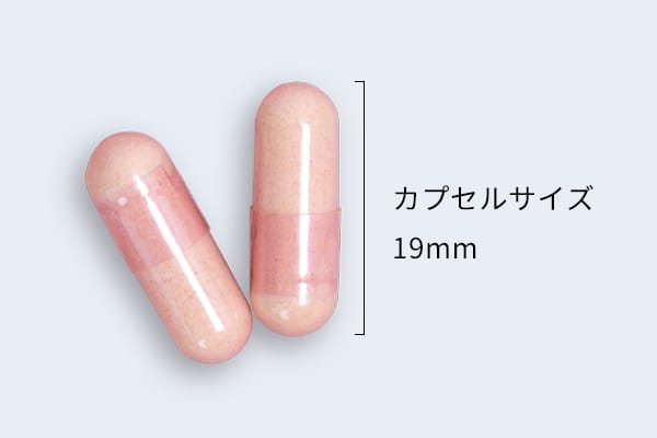 安心と品質へのこだわり