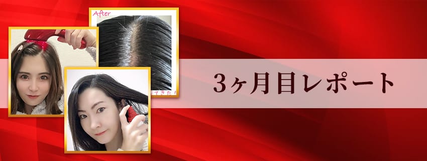 ３ヶ月目レポート