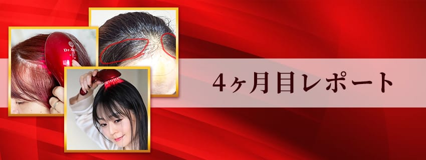 4ヶ月目レポート