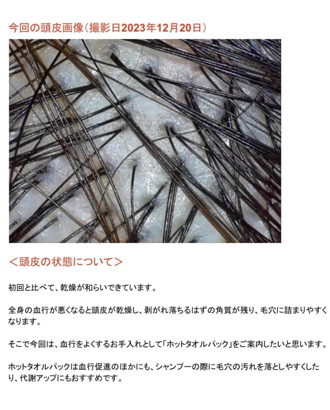 なおなおさん画像