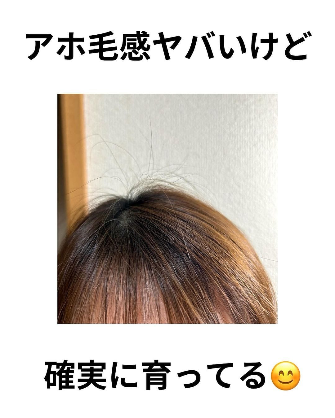 なおなおさん画像